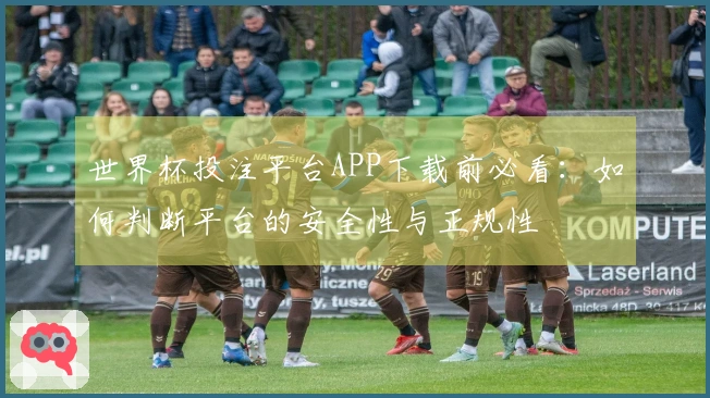 世界杯投注平台APP下载前必看：如何判断平台的安全性与正规性
