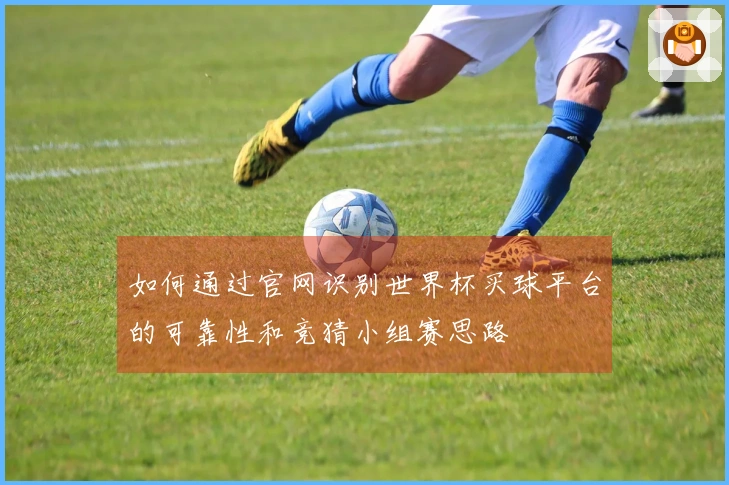 如何通过官网识别世界杯买球平台的可靠性和竞猜小组赛思路