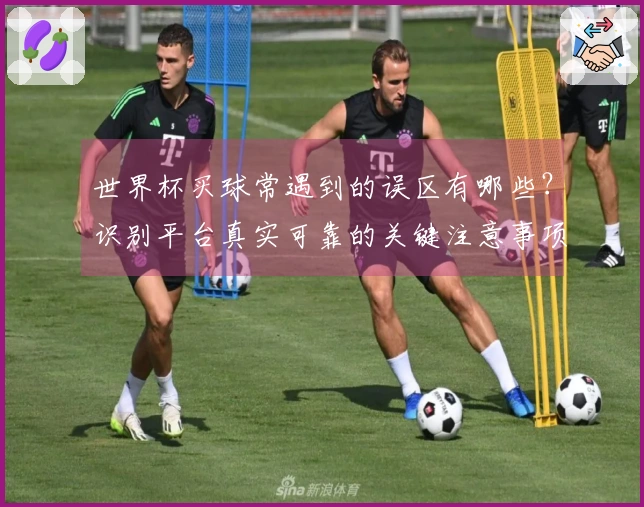 世界杯买球常遇到的误区有哪些？识别平台真实可靠的关键注意事项
