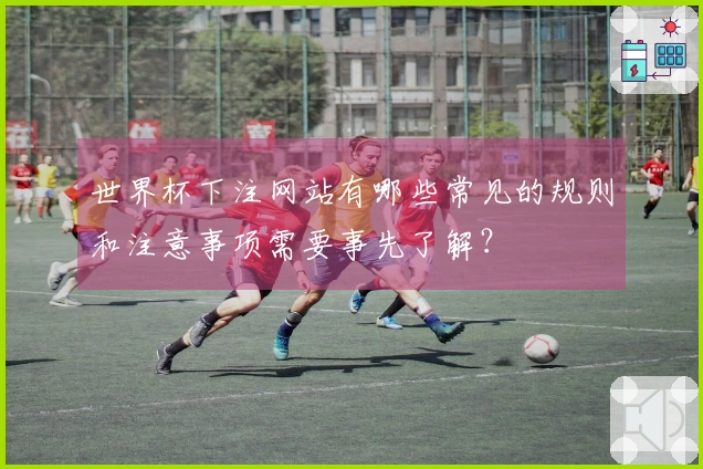 世界杯下注网站有哪些常见的规则和注意事项需要事先了解？