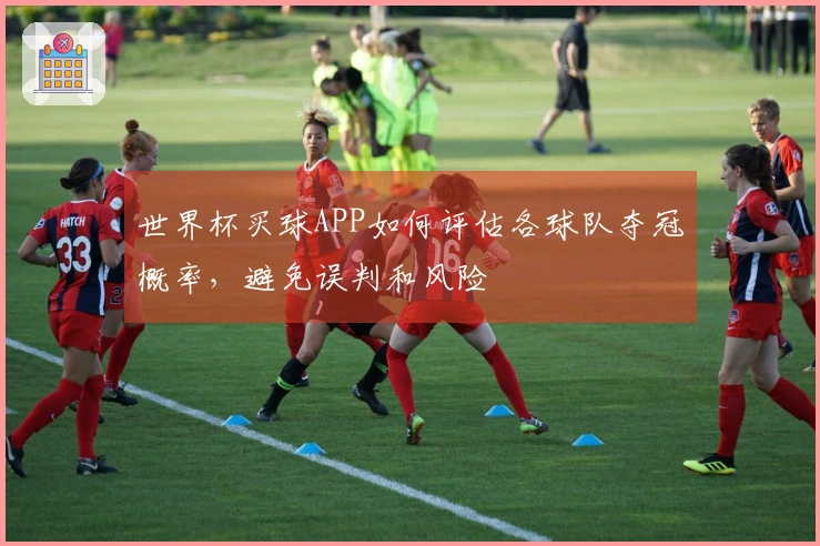 世界杯买球APP如何评估各球队夺冠概率，避免误判和风险