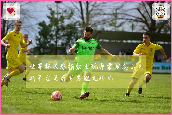 世界杯买球指数出现异常该怎么判断平台是否可靠避免踩坑